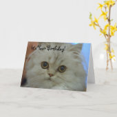 ペルシャの子ネコのバースデー・カード カード (黄色い花)