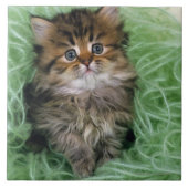 ペルシャの子ネコ タイル (正面)