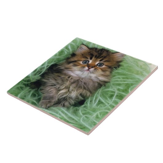 ペルシャの子ネコ タイル (側面)