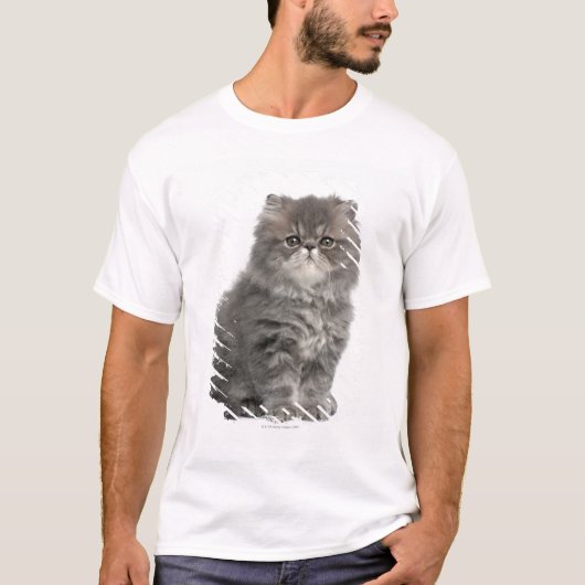 ペルシャの子ネコ(2か月古い)のモデル Tシャツ (正面)