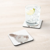 ペルシャの子ネコ(3か月古い) コースター (右側)