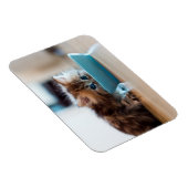 ペルシャの子猫 マグネット (右側)