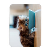 ペルシャの子猫 マグネット (縦)