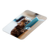 ペルシャの子猫 マグネット (左側)