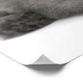 ペルシャの子猫(2ヶ月)が藁を着て ポスター (角)