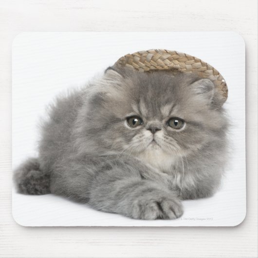 ペルシャの子猫(2ヶ月)が藁を着て マウスパッド (正面)