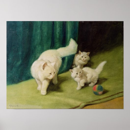 ペルシャの白い二匹の子猫 ポスター (正面)