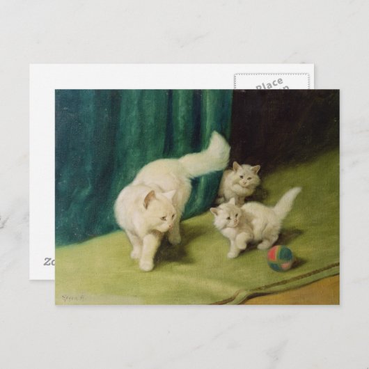 ペルシャの白い二匹の子猫 ポストカード (正面/裏面)