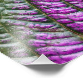 ペルシャの盾 フォトプリント            (角)