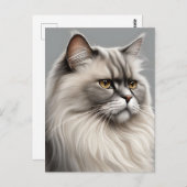 ペルシャエレガント猫イラストレーション ポストカード (正面/裏面)