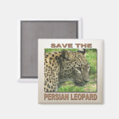 ペルシャヒョウ マグネット (正面/裏面)