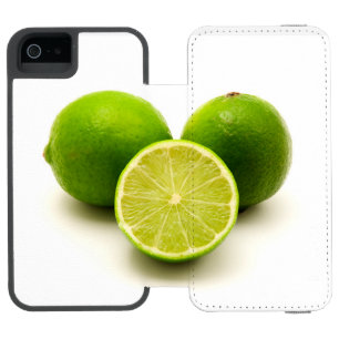 ペルシャライム iPhone SE/5/5sウォレットケース