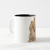 ペルシャ人の遊ぶこと(3歳) ツートーンマグカップ (正面左)