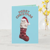 ペルシャ子猫クリスマスストッキング カード (黄色い花)