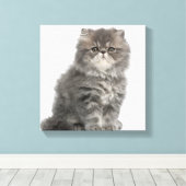 ペルシャ子猫（2カ月）の座位 キャンバスプリント (インサイチュ (ウッドフロア))