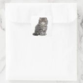 ペルシャ子猫(2カ月)の座位 スクエアシール (バッグ)