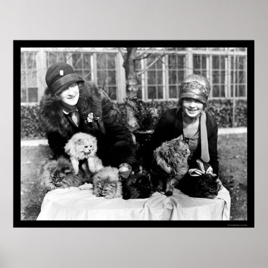 ペルシャ猫とアメリカンレディース1924 ポスター (正面)