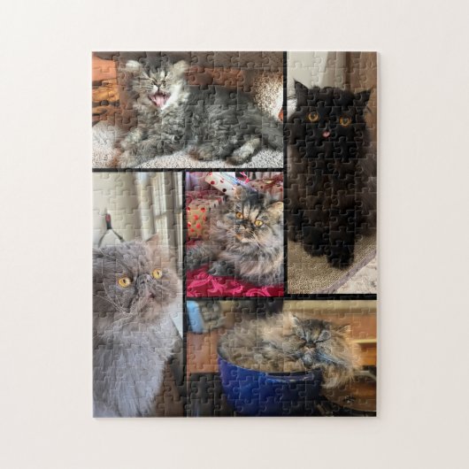 ペルシャ猫のオリジナル5枚写真パズル ジグソーパズル (縦)