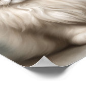 ペルシャ猫の美しいポートレート ポスター (角)