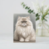 ペルシャ猫の美しいポートレート ポストカード (スタンド正面)