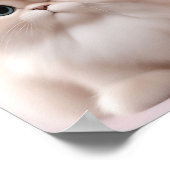 ペルシャ猫よくはしゃぐ猫 ポスター (角)