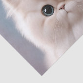 ペルシャ猫よくはしゃぐ猫 薄葉紙 (詳細)