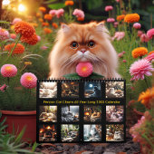 ペルシャ猫チャーム20XX カレンダー