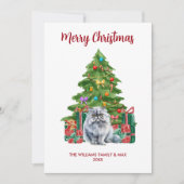 ペルシャ猫ファミリークリスマス シーズンカード (正面)