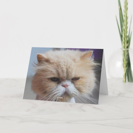 ペルシャ猫ユーモア 新年快乐 シーズンカード (裏面)