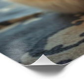 ペルシャ猫ラウンジ床ユーモア装飾ポスター ポスター (コーナー)