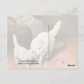 ペルシャ猫ヴィンテージ ポストカード (裏面)