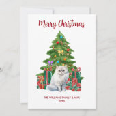 ペルシャ猫家族のクリスマス シーズンカード (正面)