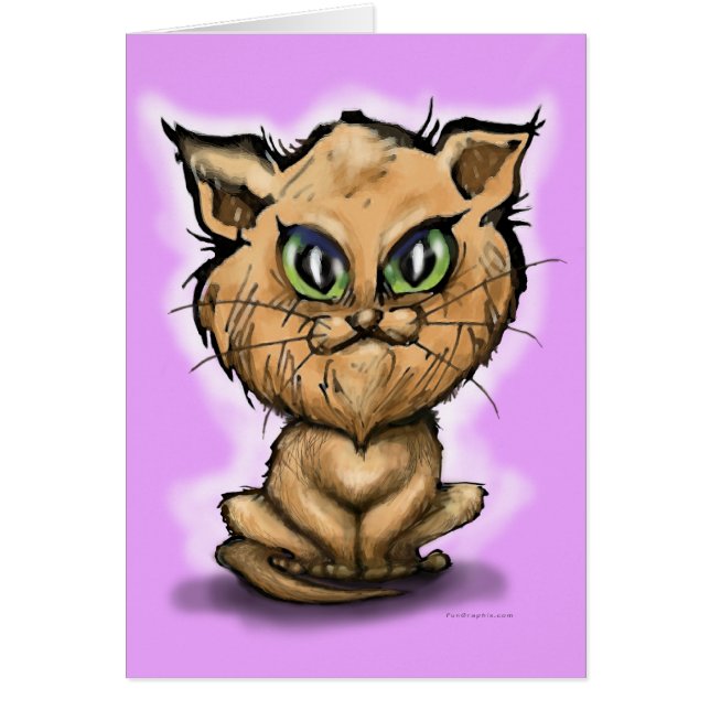 ペルシャ猫 (正面)