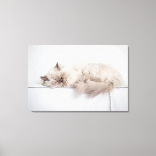 ペルシャ猫 キャンバスプリント (正面)