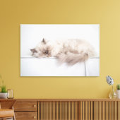 ペルシャ猫 キャンバスプリント (インサイチュ (リビング))