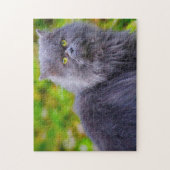 ペルシャ猫。 ジグソーパズル (縦)
