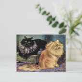 ペルシャ猫、スモーク、オレンジ ポストカード (スタンド正面)