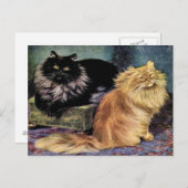 ペルシャ猫、スモーク、オレンジ ポストカード (正面/裏面)