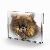 ペルシャ猫 フォトブロック (右)