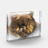 ペルシャ猫 フォトブロック (左)