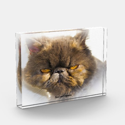 ペルシャ猫 フォトブロック (左)