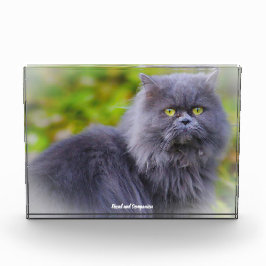 ペルシャ猫 フォトブロック