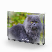 ペルシャ猫 フォトブロック (右)