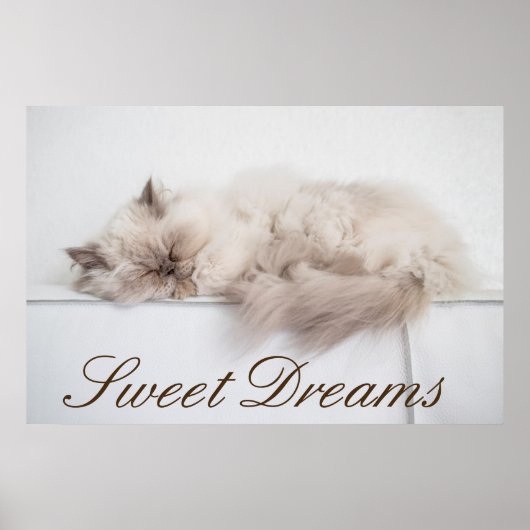 ペルシャ猫 ポスター (正面)