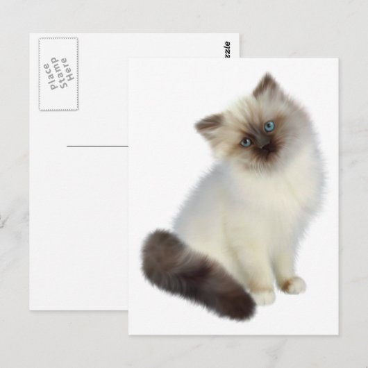 ペルシャ猫 ポストカード (正面/裏面)