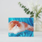 ペルシャ猫 ポストカード (スタンド正面)