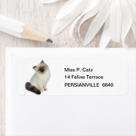 ペルシャ猫 ラベル (インサイチュ)