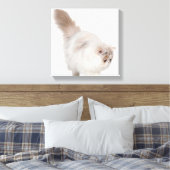 ペルシャ猫（3カ月） キャンバスプリント (インサイチュ (寝室))