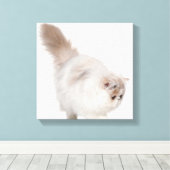 ペルシャ猫（3カ月） キャンバスプリント (インサイチュ (ウッドフロア))