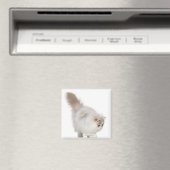 ペルシャ猫(3カ月) マグネット (インサイチュ (食洗機))